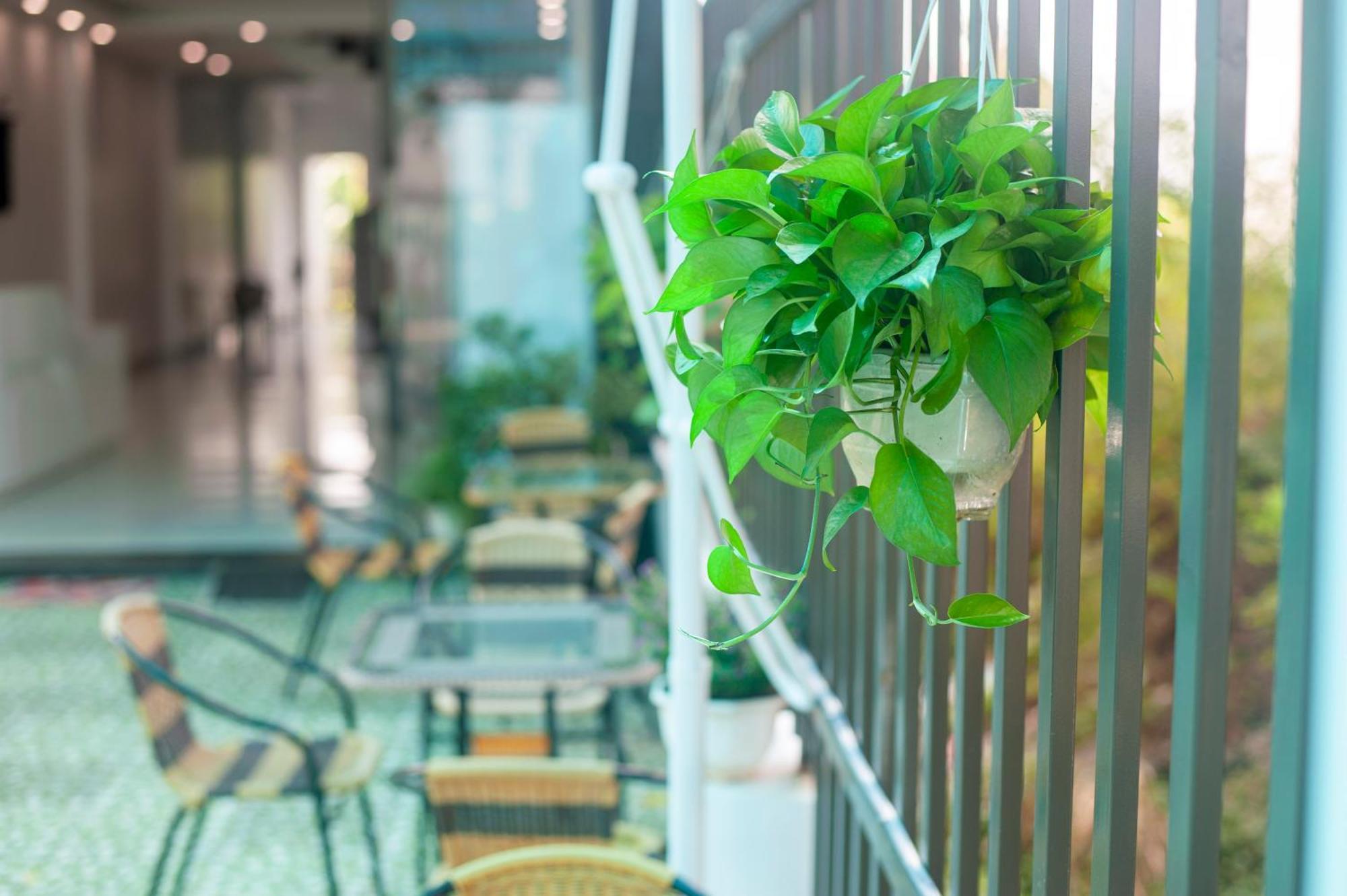 Tam Coc Peaceful Hotel Ninh Binh Exterior photo